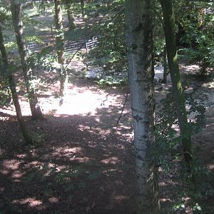 Nürnberg Tiergarten - White-naped crane exhibit