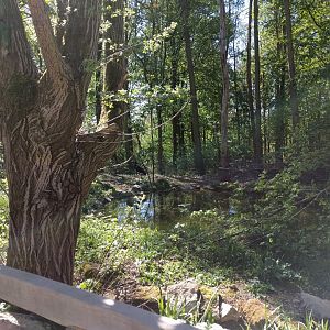 Black storc Enclosure