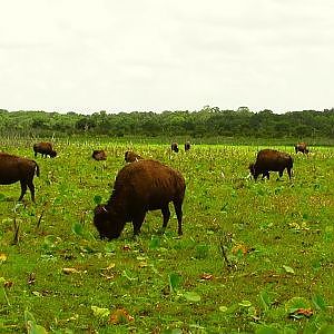 Cones Dike Trail Hike - YouTube