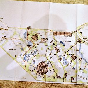 HungarianBison's dream zoo