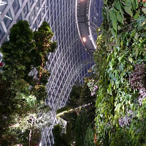 The Cloud Forest dome after dark