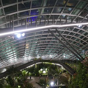 The Cloud Forest dome after dark