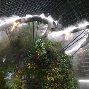 The Cloud Forest dome after dark