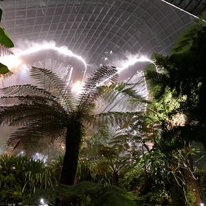 The Cloud Forest dome after dark