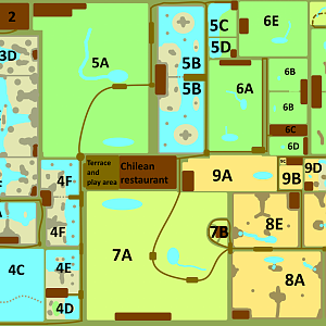 Make an Exhibit for that Country - Chile / Chilean Conservancy