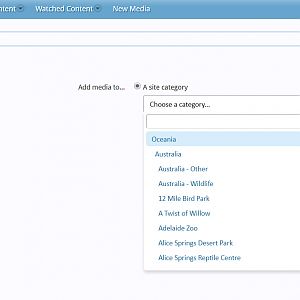 missing from dropdown