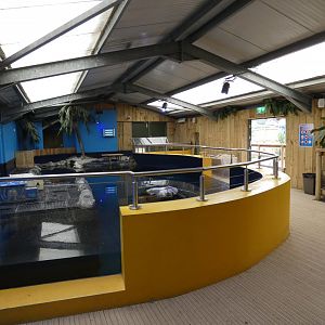 Little Blue Penguin house