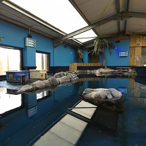 Little Blue Penguin indoor pool