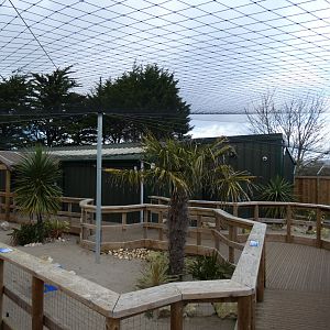 View of Little Blue Penguin outdoor enclosure