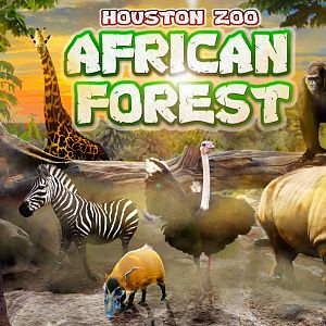 Houston Zoo's African Forest Promo Art