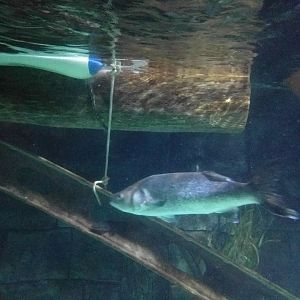 Rotterdam habour tank