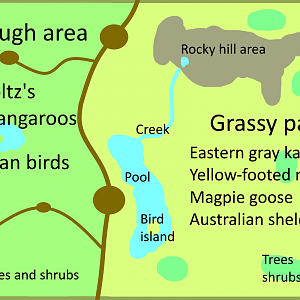 Make a Mixed Species Exhibit For That Animal - Eastern gray kangaroo / Queensland Outback