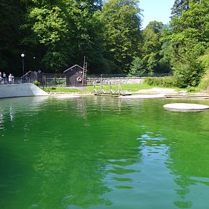 Harbour seal enclosure in Slottsskogen