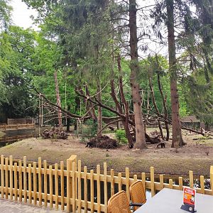 New islands for capuchin monkeys and black howlers