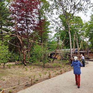 Walkthrough area with coppery titis, white faced sakis & silvery marmosets