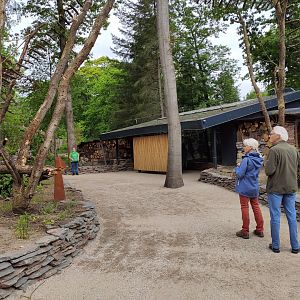Walkthrough area with coppery titis, white faced sakis & silvery marmosets, in the background is the new inside exhibit
