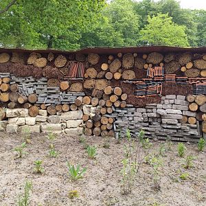 Insecthotel in the border of the new walkthrough