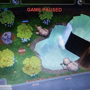 Big Cat Kingdom - Jaguar Exhibit