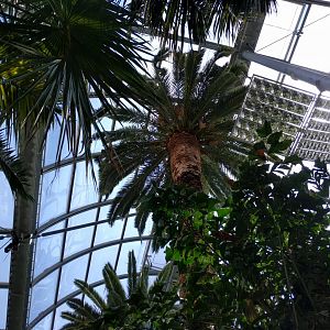 Inside the Green House