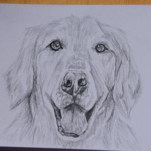 A6 dog sketch for friend
