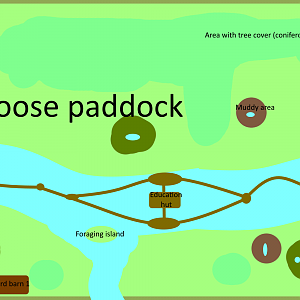 Make a Mixed Species Exhibit For That Animal - American Moose/Banks of the Yukon