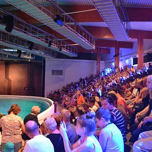 Bleacher in the dolphinarium at Kolmården