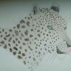 Arabian panther head