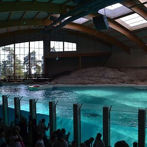 Dolphin lagoon in Kolmården