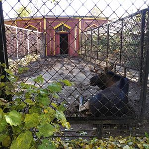 Moose enclosure
