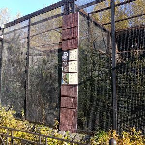 Mixed species aviary