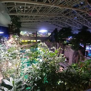 Overview from the restaurant