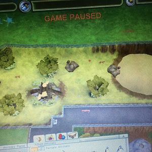 Big Cat Kingdom - Florida Panther Exhibit