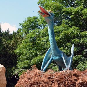 Taken in the Dinosaur Valley West midland safari park on 12 07 2017