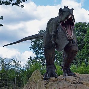 Taken in the Dinosaur Valley West midland safari park on 12 07 2017