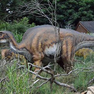 Taken in the Dinosaur Valley West midland safari park on 12 07 2017