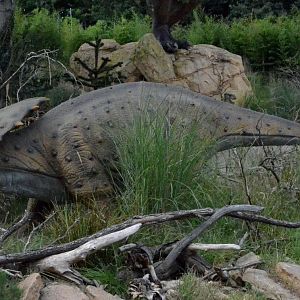 Taken in the Dinosaur Valley West midland safari park on 12 07 2017
