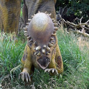 Taken in the Dinosaur Valley West midland safari park on 12 07 2017