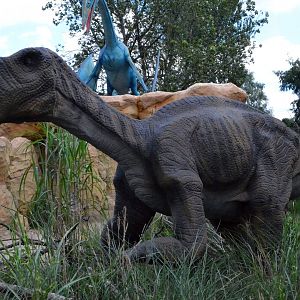 Taken in the Dinosaur Valley West midland safari park on 12 07 2017