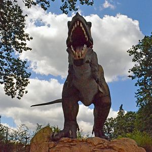 Taken in the Dinosaur Valley West midland safari park on 12 07 2017