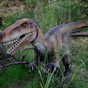 Taken in the Dinosaur Valley West midland safari park on 12 07 2017