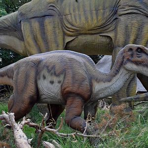 Taken in the Dinosaur Valley West midland safari park on 12 07 2017