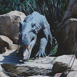 Taken in the Dinosaur Valley West midland safari park on 12 07 2017