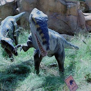 Taken in the Dinosaur Valley West midland safari park on 12 07 2017