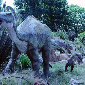 Taken in the Dinosaur Valley West midland safari park on 12 07 2017