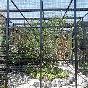 New aviary for European birds, now finished