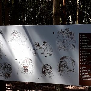 Maqaque Info sign