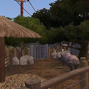 ZT2: Zoo Tampa Indian Rhino Exhibit Recreation