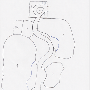 El Pahuma Orchid Reserve