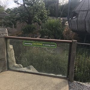 Empty exhibit next to the Ring Tailed Lemurs