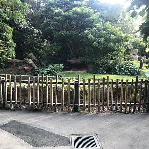 Western Lowland Gorilla Enclosure